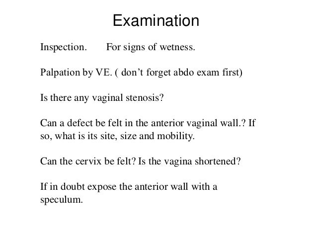 vagina and wetness Vagina and wetness